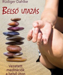 Alternative view of Belső utazás
