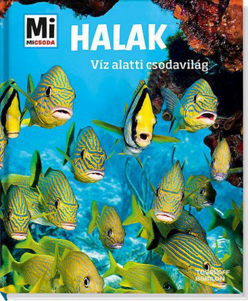 Halak - Víz alatti csodavilág - Image 2