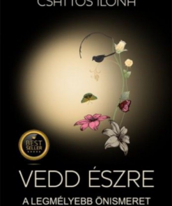 Alternative view of Vedd észre