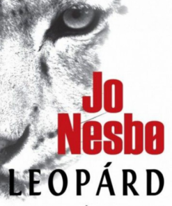 Leopárd - Image 2