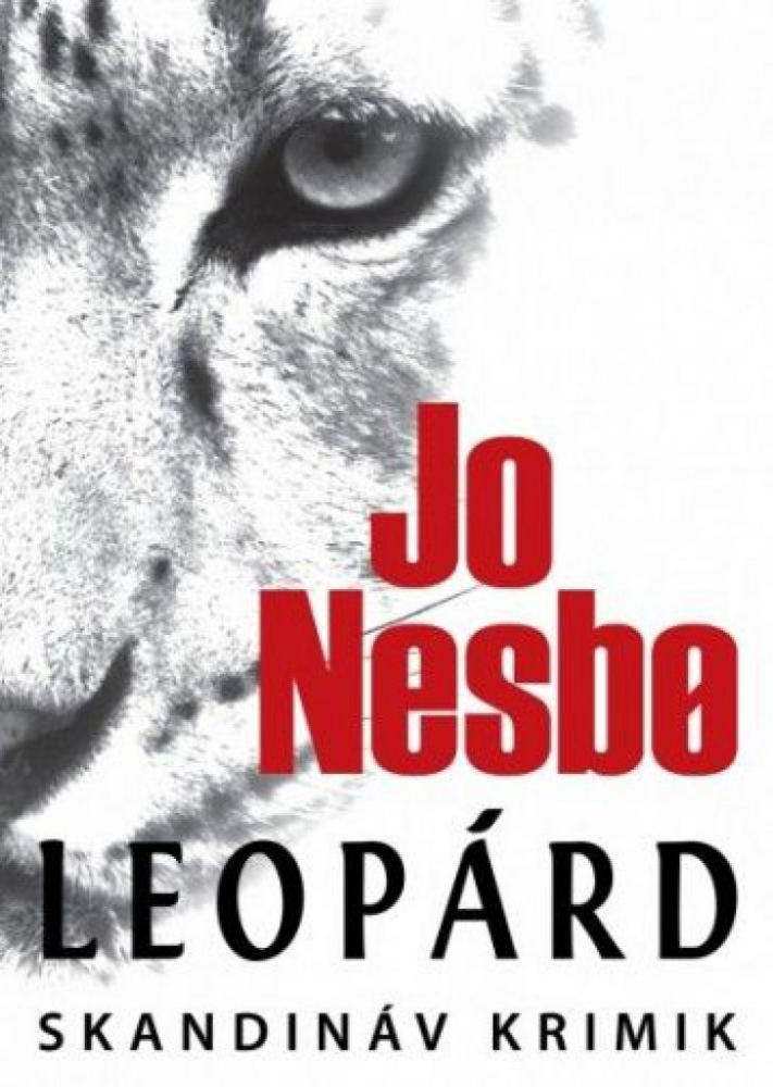 Leopárd - Image 2