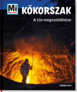 Alternative view of Kőkorszak - A tűz megszelídítése - Mi micsoda