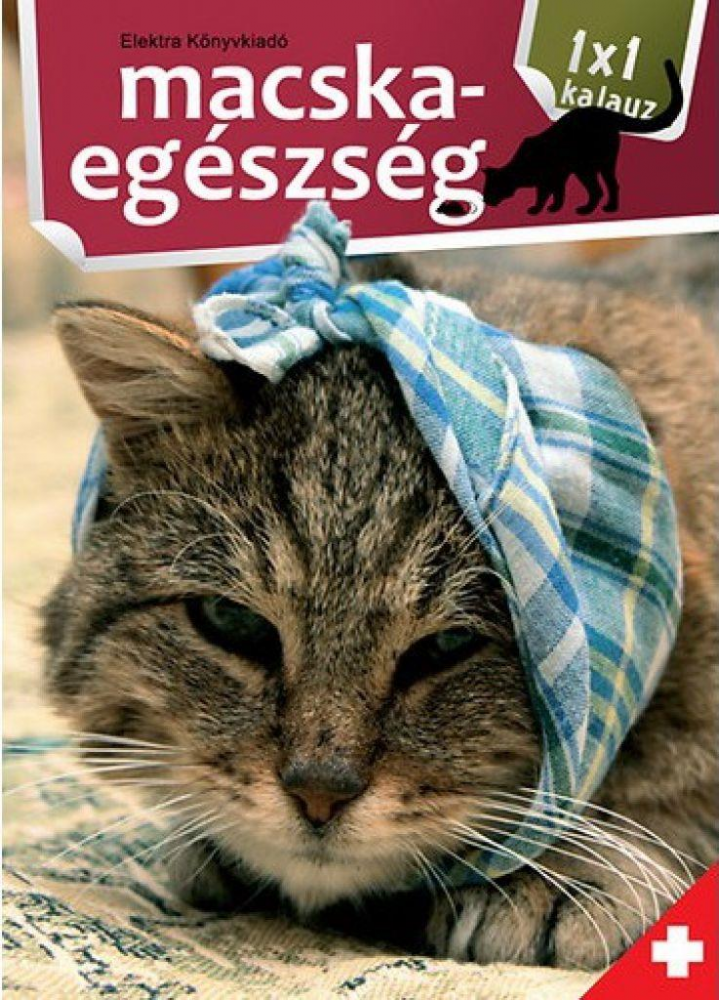 1x1 Macskaegészség - Image 2
