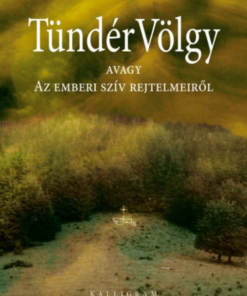 Alternative view of TündérVölgy - avagy Az emberi szív rejtelmeiről (4. kiadás)