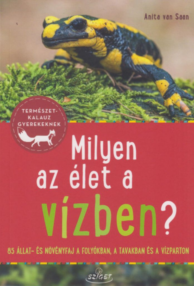 Milyen az élet a vízben? - Image 2