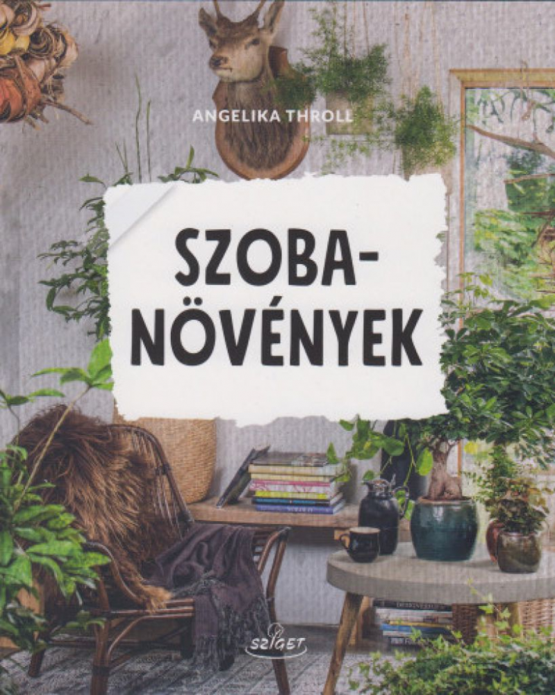 Szobanövények - Image 2