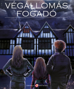 Alternative view of Végállomás fogadó
