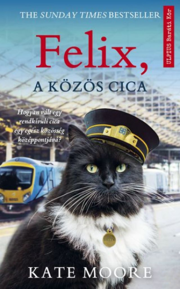 Felix, a közös cica - Image 2