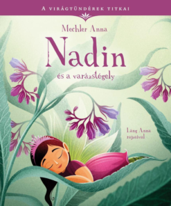 Nadin és a varázstégely - Image 2