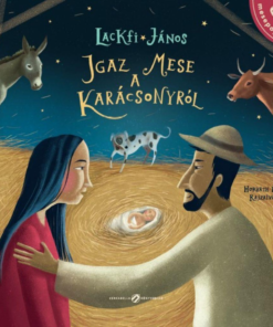 Alternative view of Igaz mese a karácsonyról