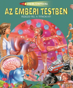 Alternative view of Zseblámpával - Az emberi testben