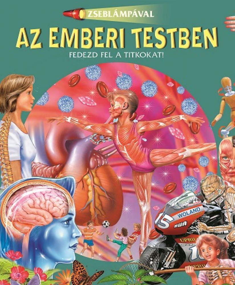 Zseblámpával - Az emberi testben - Image 2