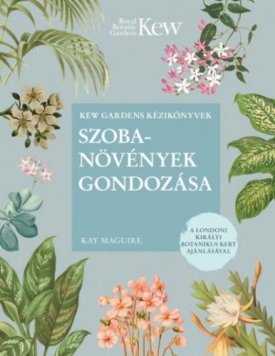 Szobanövények gondozása - Image 2