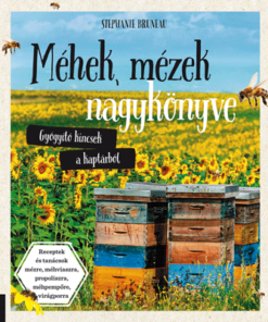 Méhek, mézek nagykönyve - Gyógyító kincsek a kaptárból - Image 2