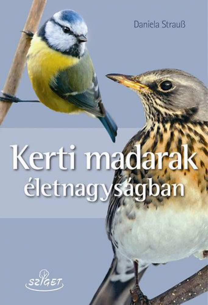 Kerti madarak életnagyságban - Image 2