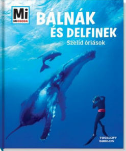 Alternative view of Bálnák és delfinek