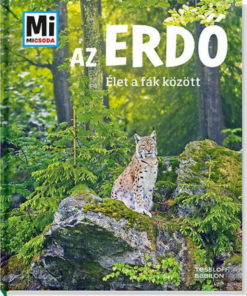 Alternative view of Az erdő - Élet a fák között
