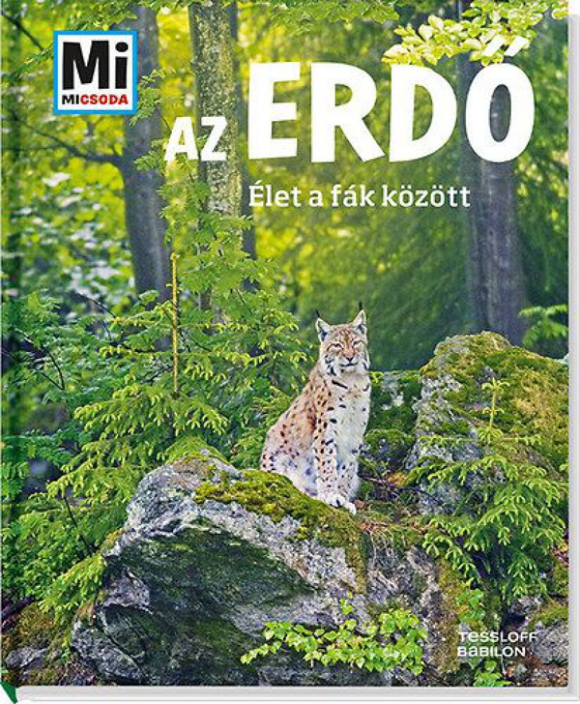 Az erdő - Élet a fák között - Image 2