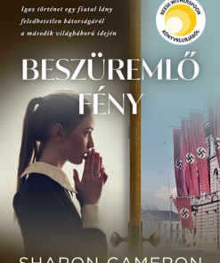 Beszüremlő fény - Image 3