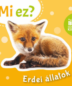 Erdei állatok - Mi ez? - Image 2
