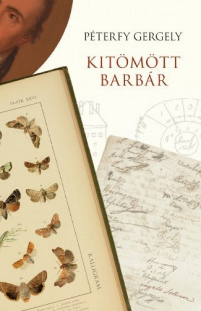 Kitömött barbár - Image 2