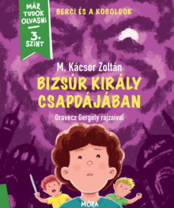 Bizsúr király csapdájában - Berci és a koboldok 2.