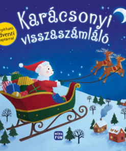 Karácsonyi visszaszámláló - Kinyitható adventi naptárral!