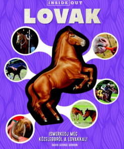Lovak - Ismerkedj meg közelebbről a lovakkal!
