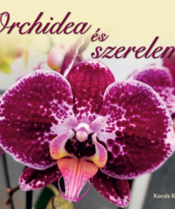 Orchidea és szerelem