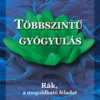 Többszintű gyógyulás