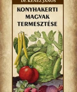 Konyhakerti magvak termesztése