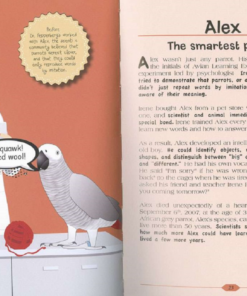 Tiny Little Stories of Animals - Image 5