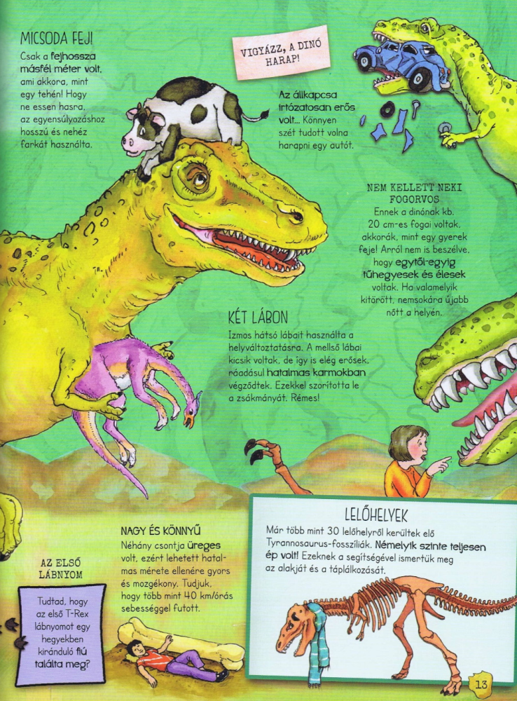 Szórakoztató tudomány - A dinoszauruszok élete - Image 5