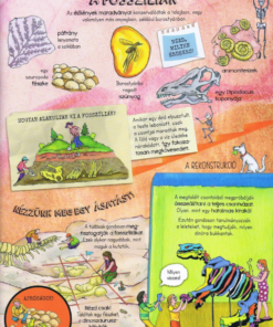 Szórakoztató tudomány - A dinoszauruszok élete - Image 3