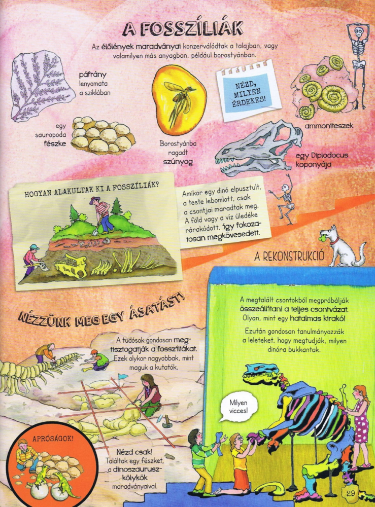 Szórakoztató tudomány - A dinoszauruszok élete - Image 3