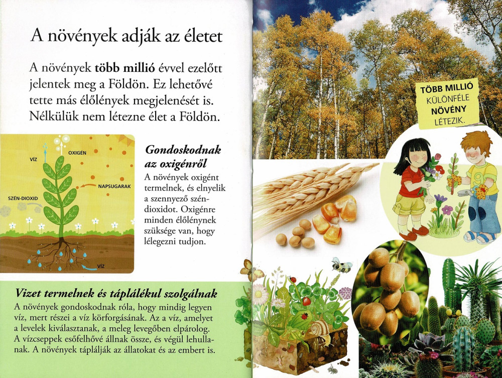 Olvass velünk! (2) - A növények titkai - Image 4