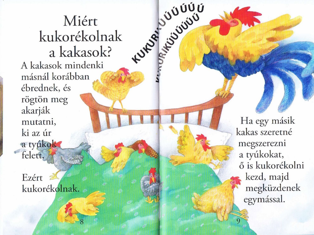 Olvass velünk! (1) - Kérdések az állatokról - Image 5