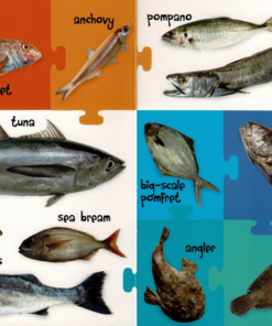 My First 100 Words - Sea Animals - Image 6