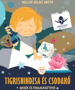 Tigrisnindzsa és csodakő