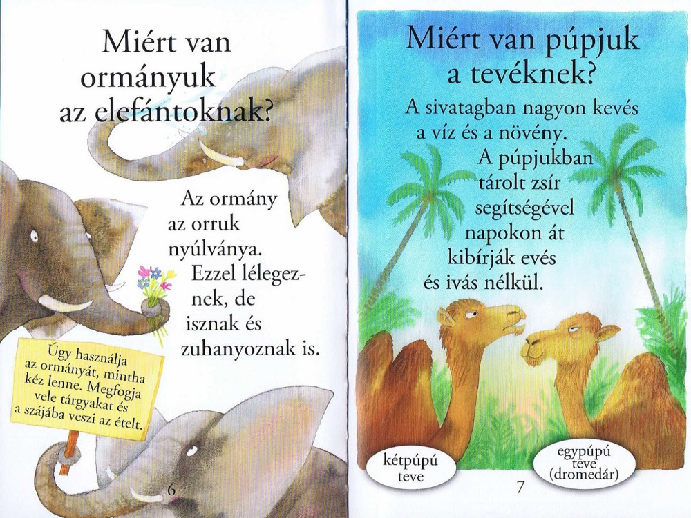 Olvass velünk! (1) - Kérdések az állatokról - Image 2