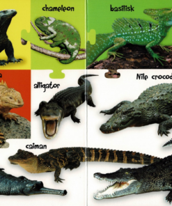My First 100 Words - Wild Animals - Image 3