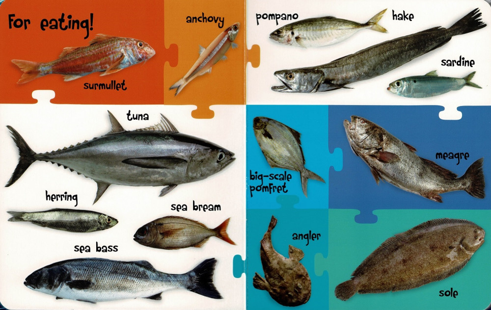 My First 100 Words - Sea Animals - Image 3
