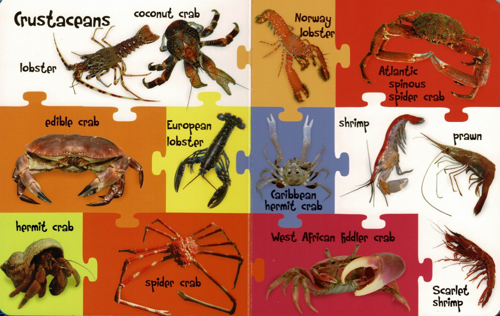 My First 100 Words - Sea Animals - Image 2