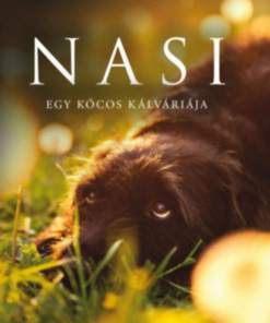 Nasi