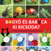 Bogyó és Babóca - Ki kicsoda?