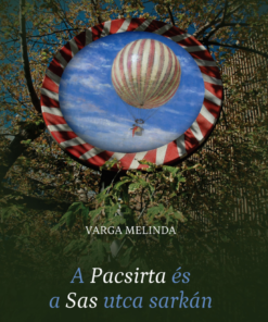 A Pacsirta és a Sas utca sarkán
