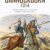 Bannockburn - 1314 - Robert Bruce és a skótok diadala Anglia felett
