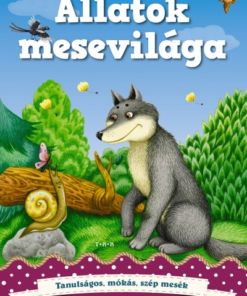 Erdély bűvöletében