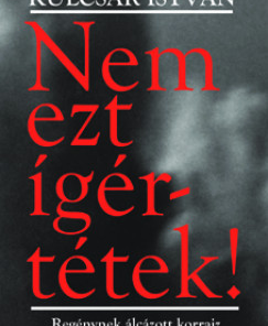 Nem ezt ígértétek! - Regénynek álcázott korrajz