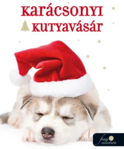 Karácsonyi kutyavásár